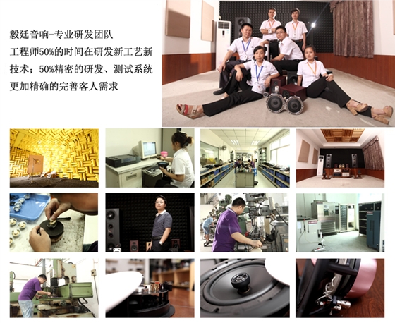 2.25寸重低音HIFI音箱喇叭研发团队