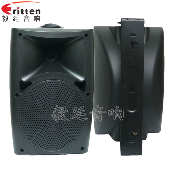 6.5寸墙壁音箱喇叭正反面 8''中低音舞台音箱喇叭厂家正反面