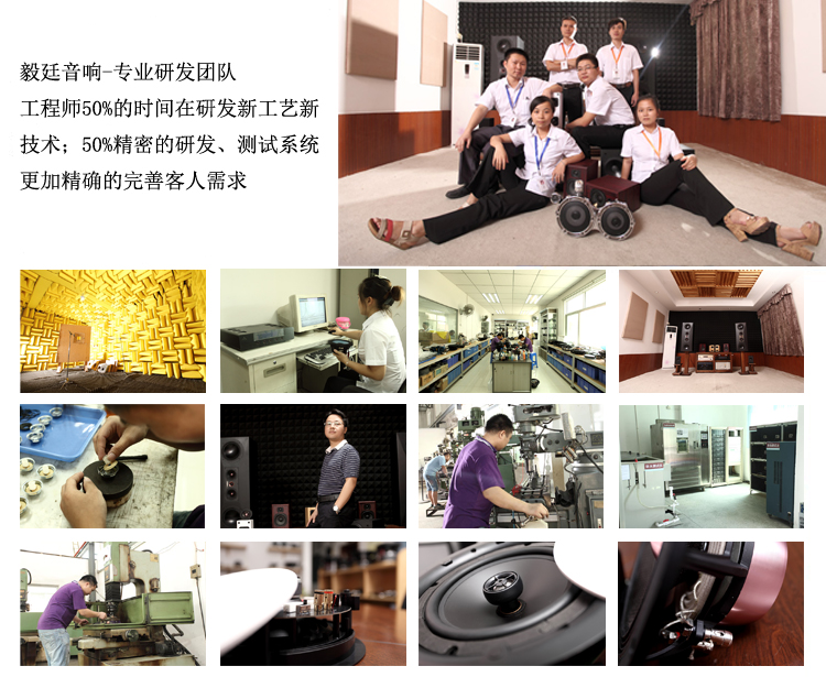 32mm全频蓝牙小喇叭研发团队 32mm全频蓝牙小喇叭研发团队