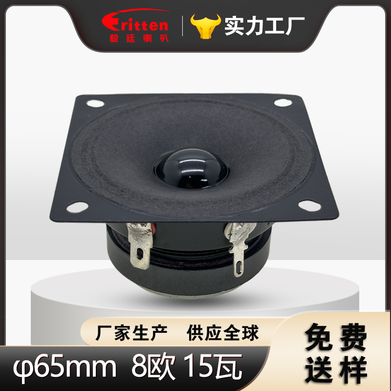 2.5 英寸方形扬声器 65×65mm 8Ω15W 纸盆全频喇叭 | beat365正版唯一官网